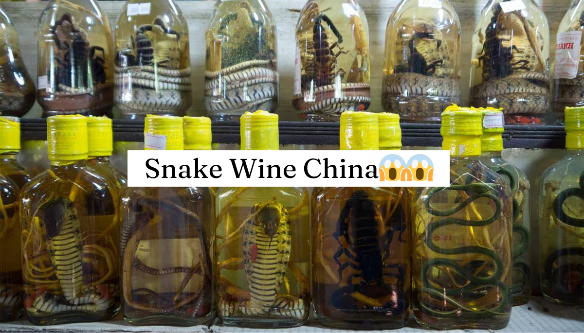 Snake Wine China: What Is This ?