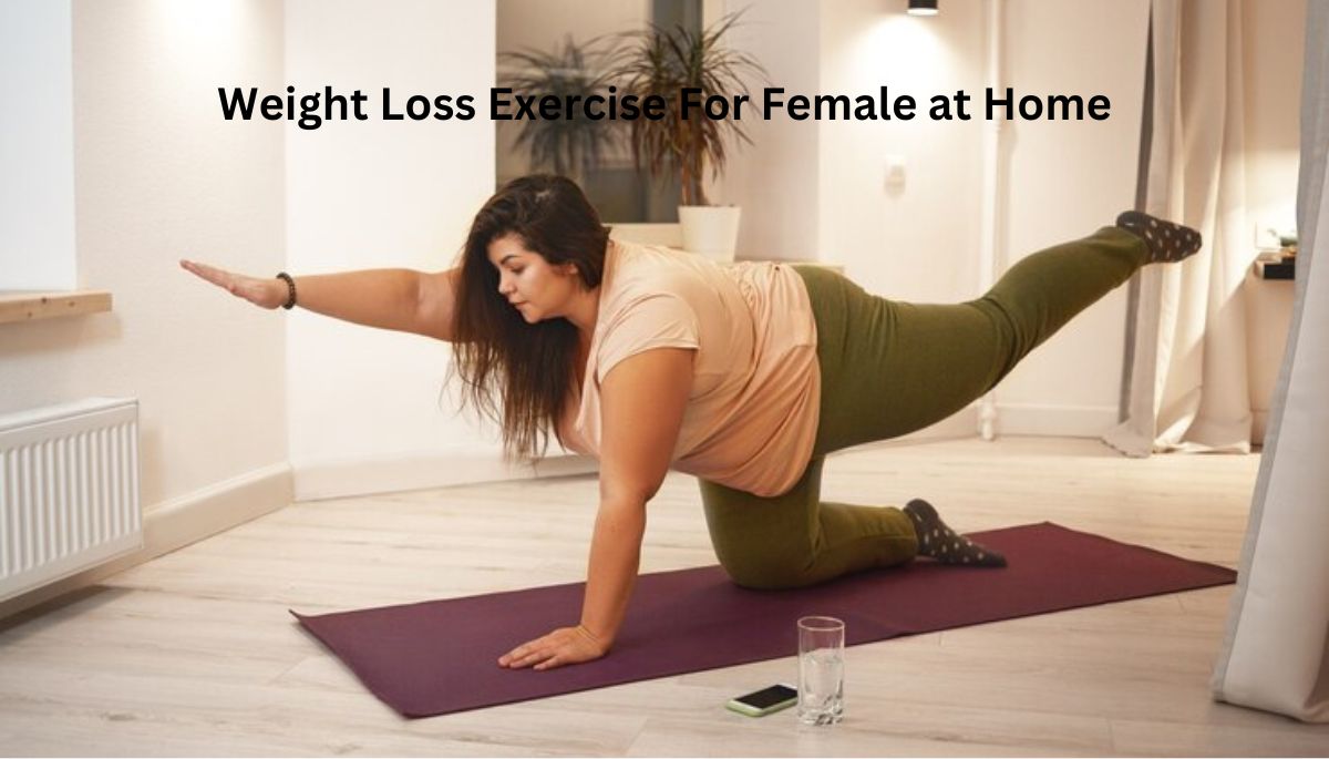 Weight Loss Exercise For Female at Home 2024